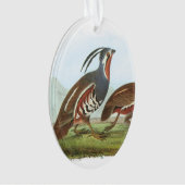 Gebirgswachteln durch Audubon Ornament (Vorderseite)
