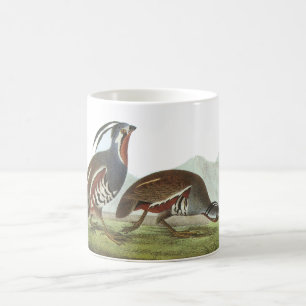 Gebirgswachteln, John Audubon Kaffeetasse