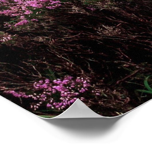 Gebirgswanderplakat Poster (Ecke)