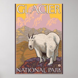 Gebirgsziege - Glacier Nationalpark, M.Ü. Poster