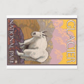 Gebirgsziege - Glacier Nationalpark, M.Ü. Postkarte (Vorderseite)