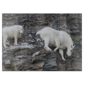 Gebirgsziege Schneidebrett (Vorderseite)