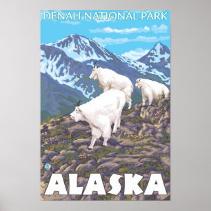 Gebirgsziegen-Szene - Denali Nationalpark, Poster