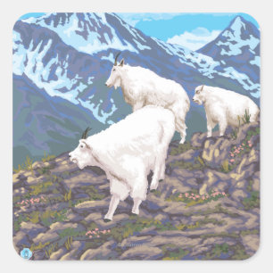 Gebirgsziegen-Szene - Sitka, Alaska Quadratischer Aufkleber