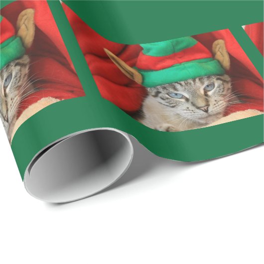 Gebohrte Katze im Elf-Hut Geschenkpapier (Rolleneckpunkt)