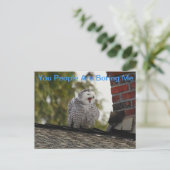 Gebohrte Schneeeule Postkarte (Stehend Vorderseite)