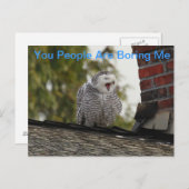 Gebohrte Schneeeule Postkarte (Vorne/Hinten)