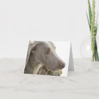 Gebohrte Weimaraner Anmerkungs-Karte