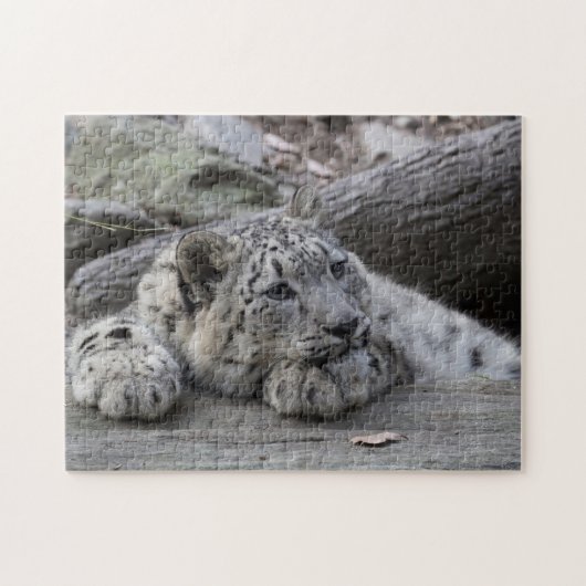 Gebohrter Schnee-Leopard CUB Puzzle (Horizontal)