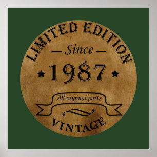 Geboren 1987 Vintager Klassiker Poster