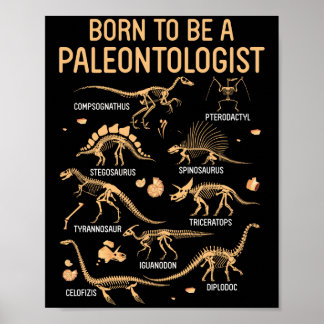 Geboren, ein PALEONTOLOGIST Skeleton Dinosaurier z Poster