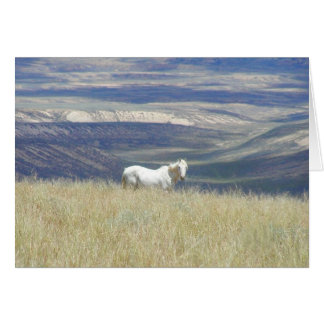 Geboren Free Wild Mustang Horse