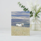Geboren Free Wild Mustang Horse Postkarte (Stehend Vorderseite)