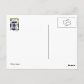 Geboren, frei zu sein Postkarte (Rückseite)