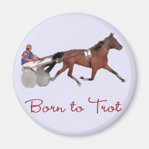 Geboren Trot Magnet