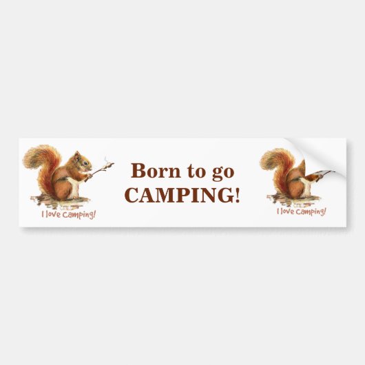 GEBOREN, um CAMPING Spaß Eichhörnchen Süße Tier Zi Autoaufkleber (Vorne)