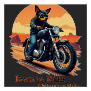 Geboren um Chihuahua-Motorrad-Kunst zu fahren Poster