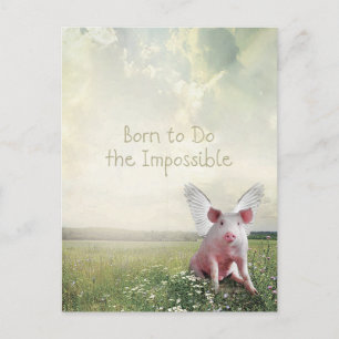 Geboren um das Unmögliche zu tun Flying Pig Postkarte