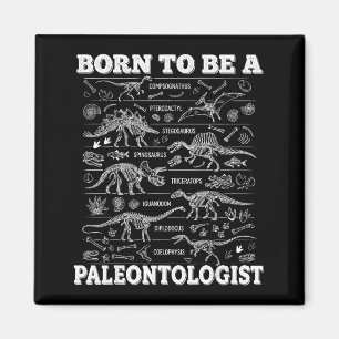 Geboren, um ein Paläontologe zu sein, Dinosaurier Magnet
