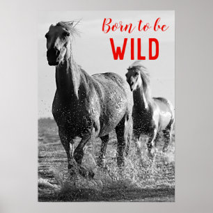 Geboren um Wild zu sein Schwarz & Weiß Laufende Pf Poster