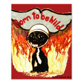 Geboren, von Carol Zeock frei zu sein Chihuahua Fotodruck