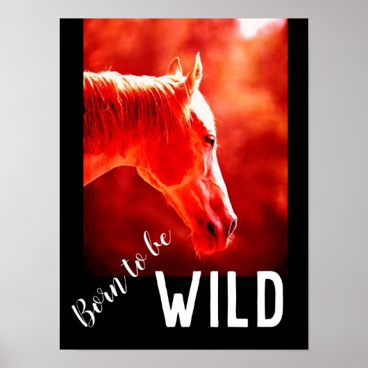 Geboren, Wild Nah-up Horse zu sein Poster (Vorne)