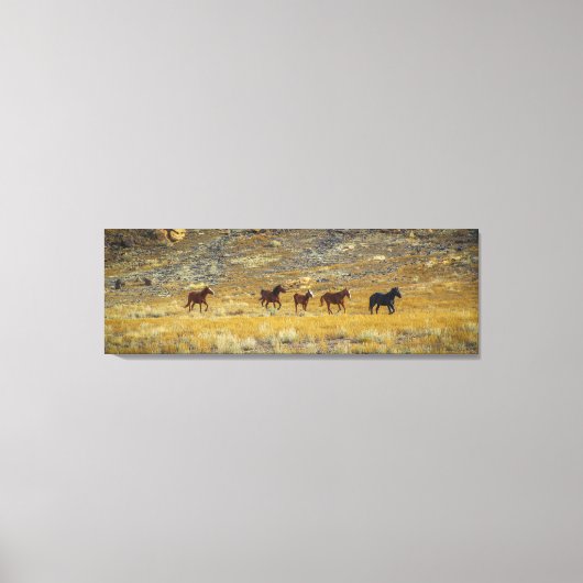 Geboren Wild zu sein! Leinwanddruck (Vorderseite)