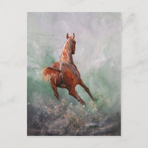 Geboren zu Barrel Race Postkarte