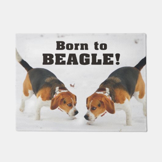 Geboren zum Beagle Fußmatte (Vorderseite)