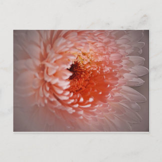 Geboren zum Erfolg Postkarte