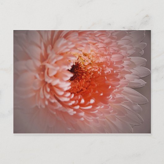 Geboren zum Erfolg Postkarte (Vorderseite)