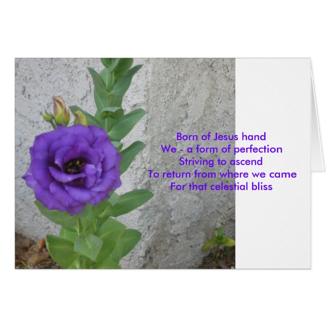 Geborene der Jesus-Karte (Vorderseite (Horizontal))