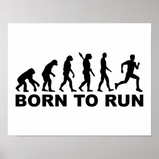 Geborene Evolution Poster