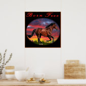 Geborene Pferdekunst Poster (Küche)