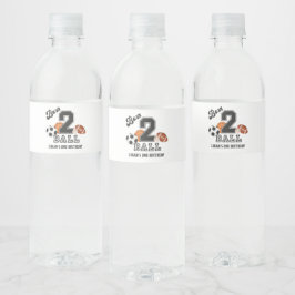 Geborenen 2 Ball Sport Thema Junge zweite Geburtst Wasserflaschenetikett
