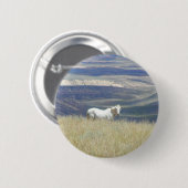 Geborenes freies wildes Mustang-Pferd Button (Vorne & Hinten)