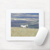 Geborenes freies wildes Mustang-Pferd Mousepad (Mit Mouse)