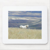 Geborenes freies wildes Mustang-Pferd Mousepad (Vorne)
