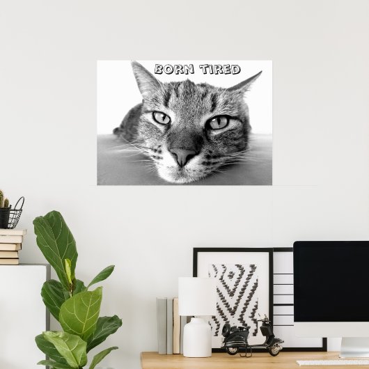 Geborenes müdes Kätzchen Poster (Heimbüro)