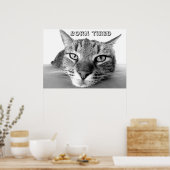 Geborenes müdes Kätzchen Poster (Küche)