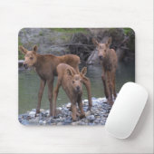 Geborenes n angehoben in Talkeetna, Alaska Mousepad (Mit Mouse)