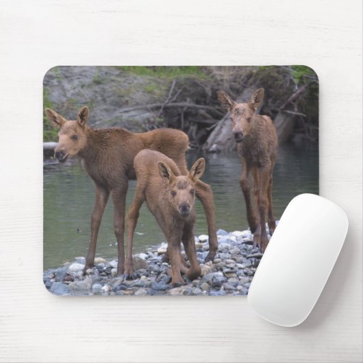 Geborenes n angehoben in Talkeetna, Alaska Mousepad (Mit Mouse)
