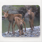 Geborenes n angehoben in Talkeetna, Alaska Mousepad (Vorne)