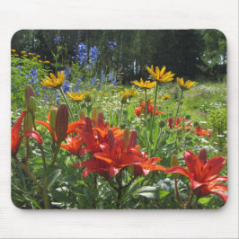 Gebrannte orange asiatische Lilien, Gloriosas Mousepad