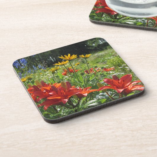 Gebrannter orange asiatischer Lilien-Sommer-Garten Getränkeuntersetzer (Linke Seite)