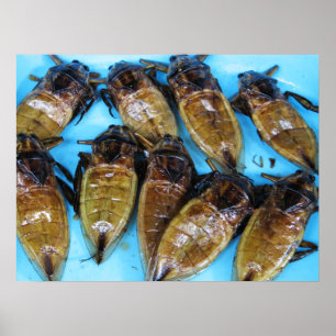 Gebratene Riesenwanze (Maeng Daa) ... Asiatisches  Poster