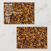 Gebratene Seidenraupe-… thailändische Visitenkarte (Vorne/Hinten)