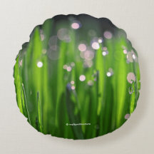 Gebräu im Morgenlicht