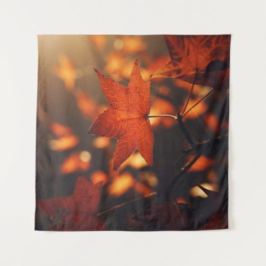 GEBRAUCHTE PFLANZE WANDTEPPICH (Vorderseite (Horizontal))