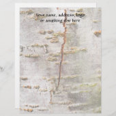 Gebrochene Birkenrinde Briefkopf (Vorne/Hinten)